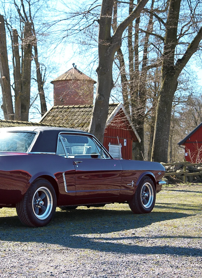Aussenfoto 1965 Ford Mustang HT 289cui (91)