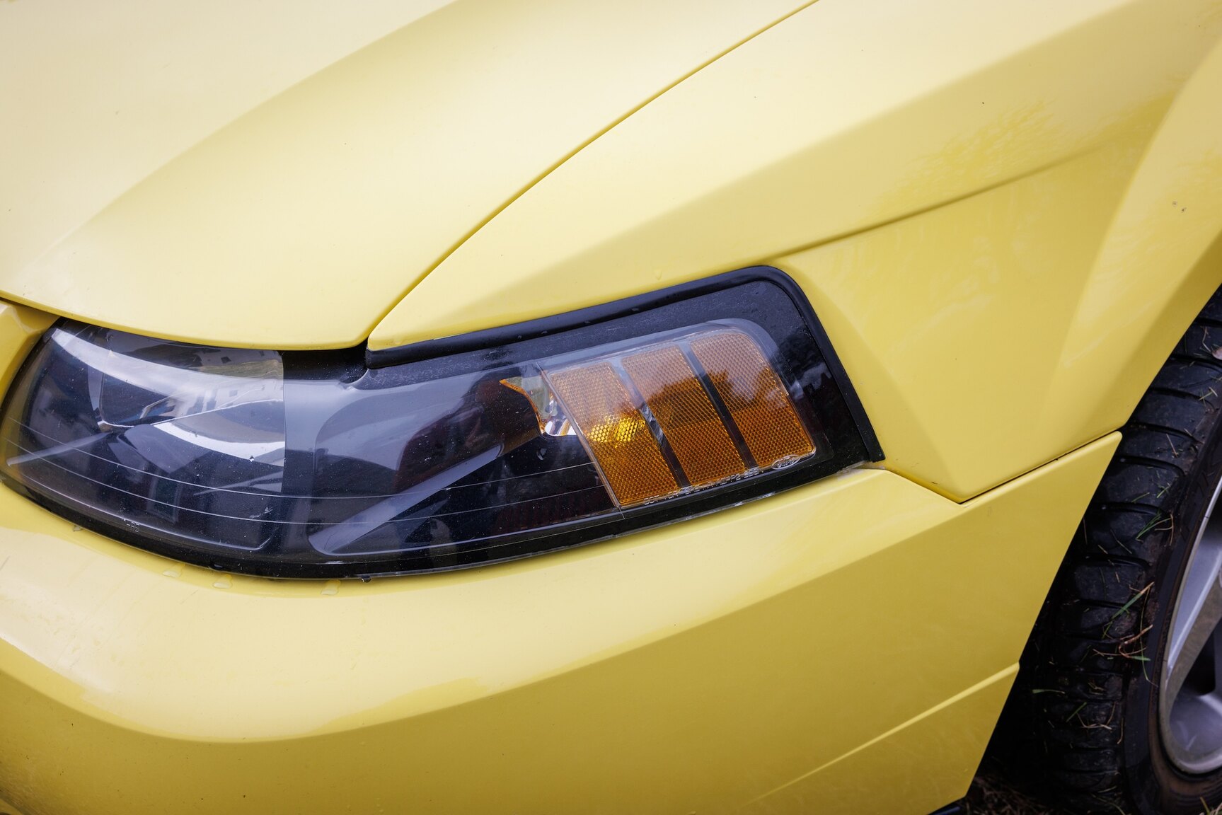 Aussenfoto 2003 Ford Mustang SVT Cobra