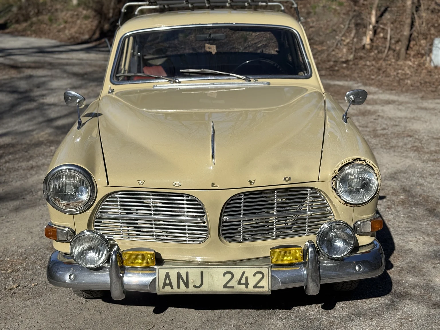 Aussenfoto 1964 Volvo Amazon (59)