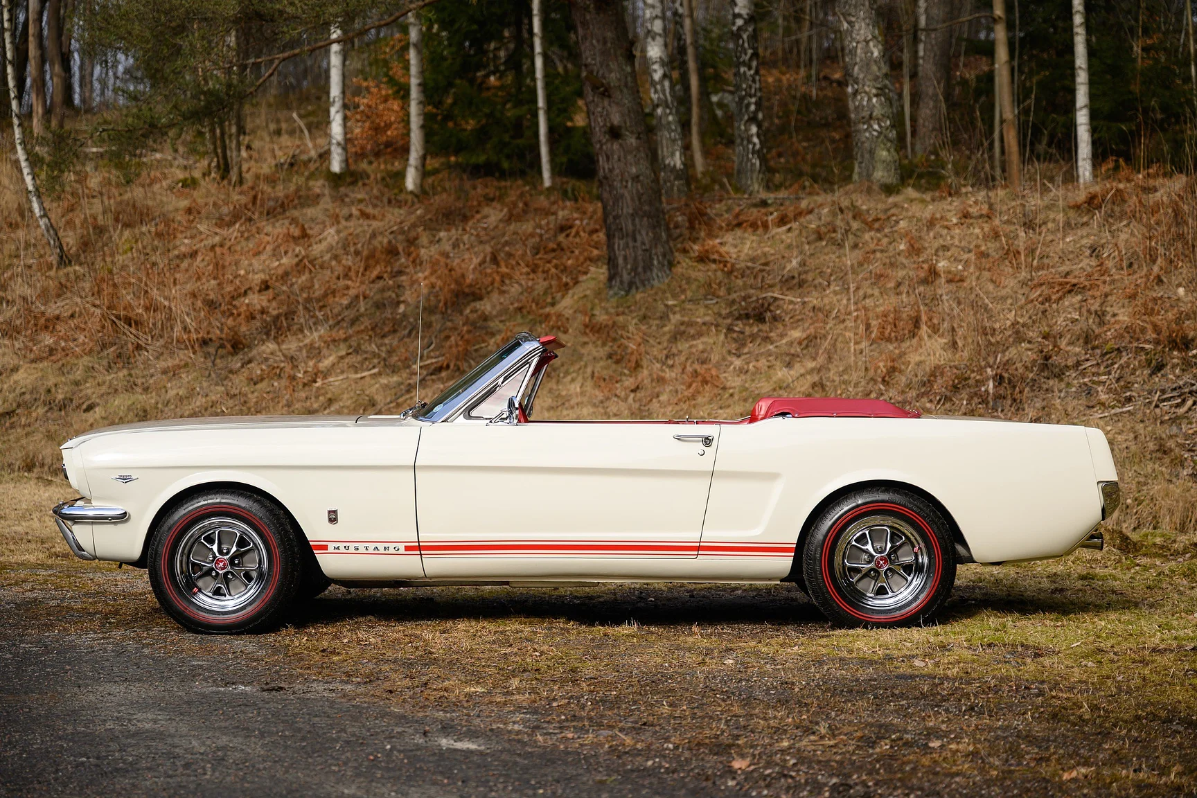 Aussenfoto 1965 Ford Mustang GT Convertible (43)