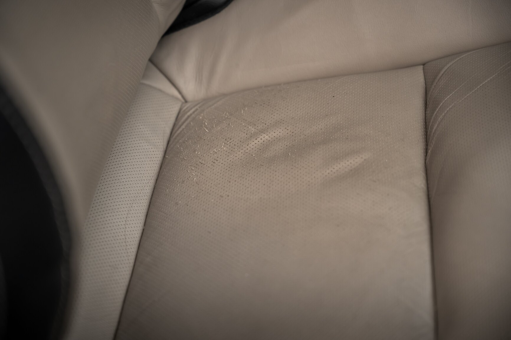 Innenraumfoto von 2010 Chevrolet Camaro SS (64)