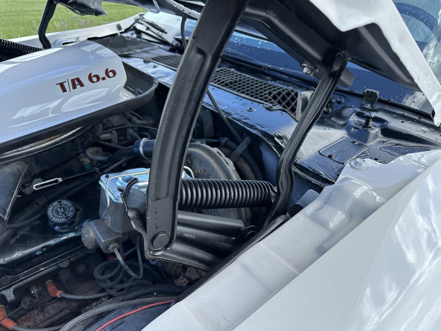 Image of 1976 Pontiac Firebird Trans Am mechanics