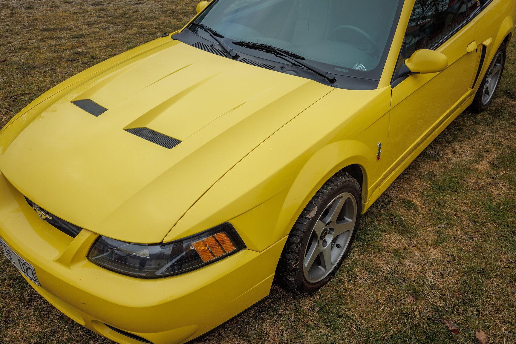 Exterior image of 2003 Ford Mustang SVT Cobra