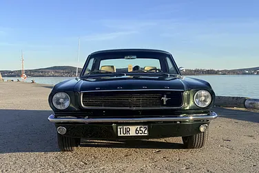 #<Image:0x00007fe99bf521c0>