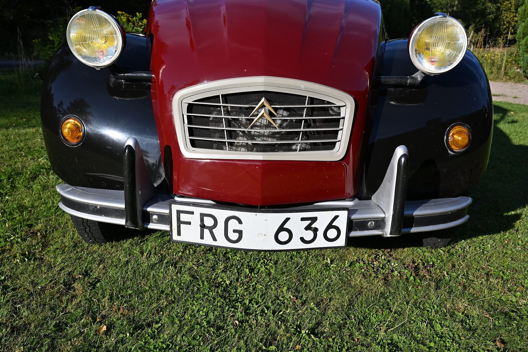 Exterior image of 1981 Citroën 2CV Charleston