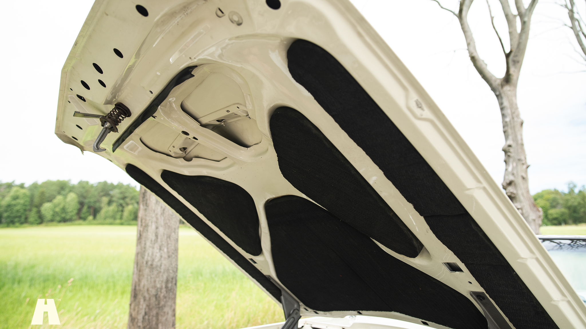 Image of 1965 Ford Thunderbird (38) mechanics