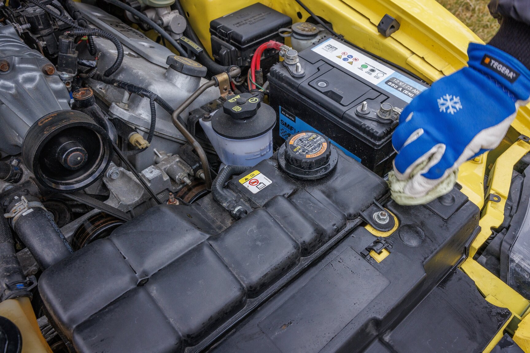 Image of 2003 Ford Mustang SVT Cobra mechanics