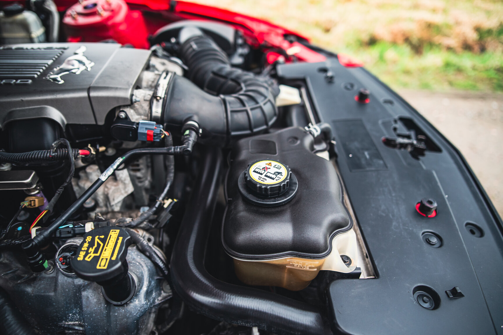 Image of 2009 Ford Mustang V8 GT Convertible mechanics