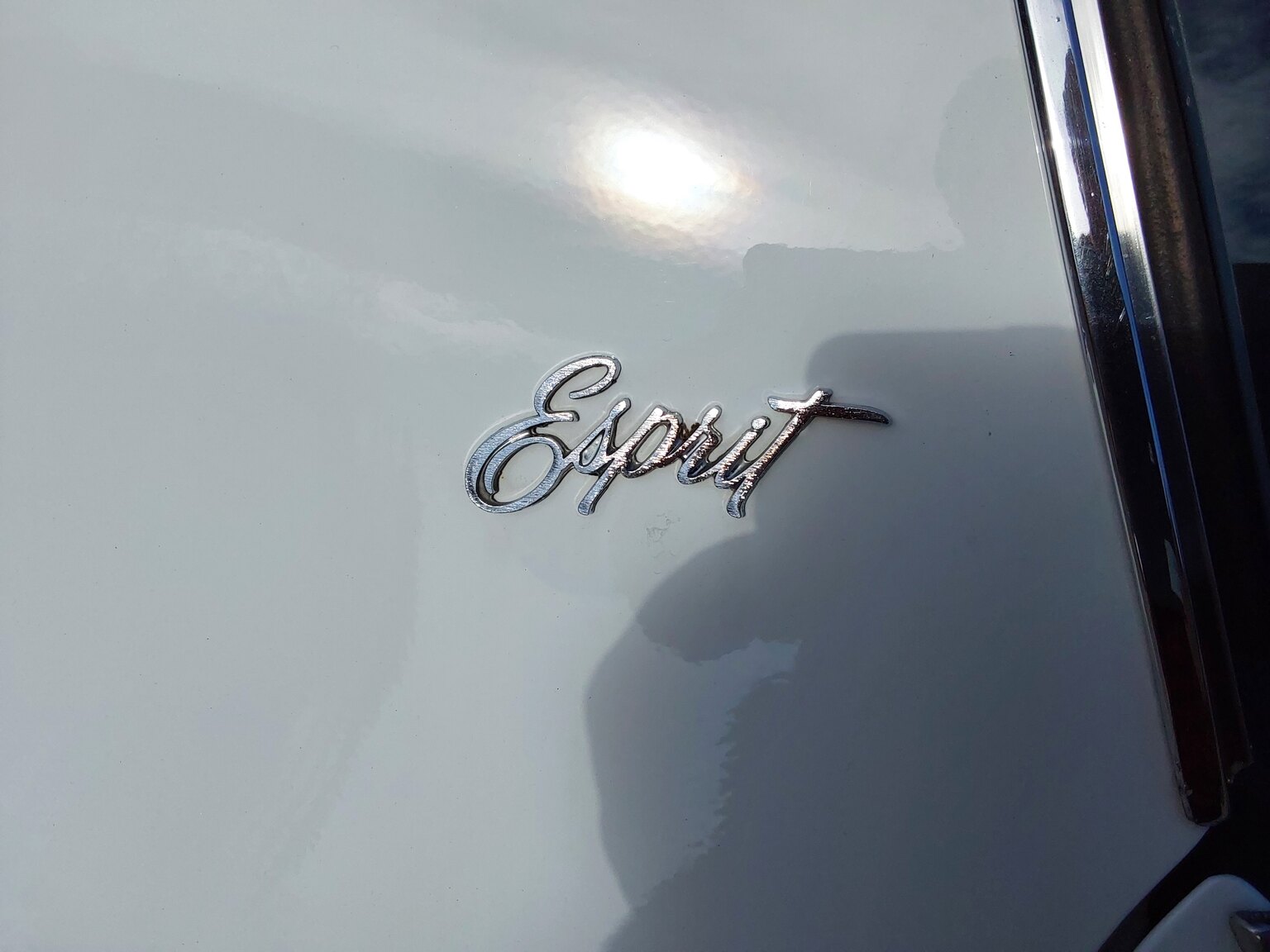 Exterior image of 1975 Pontiac Firebird Esprit 
