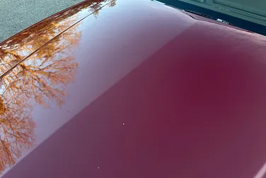 #<Image:0x00007f2ba912d988>