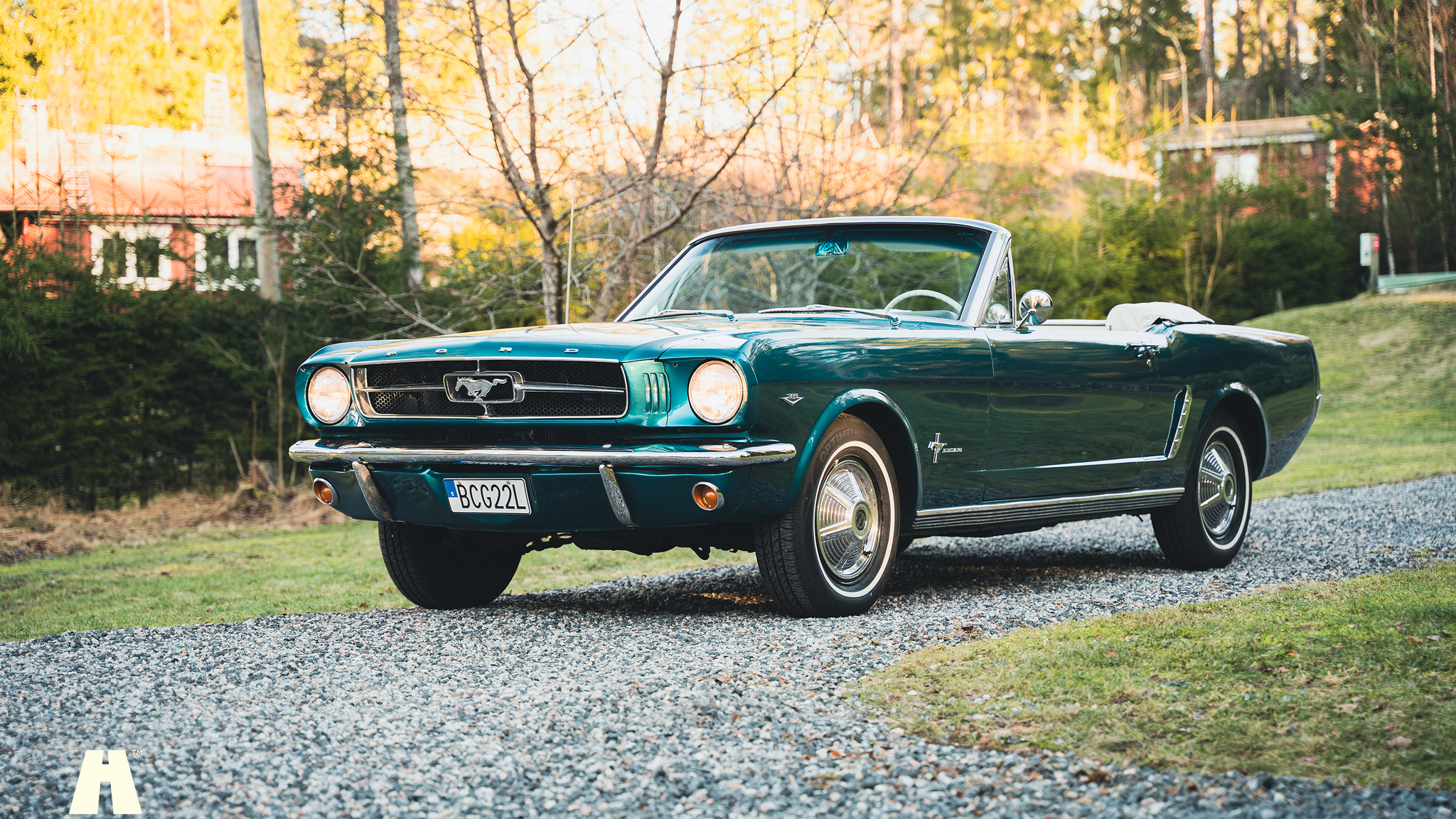 Exteriörbild på 1965 Ford Mustang Cabriolet (6)