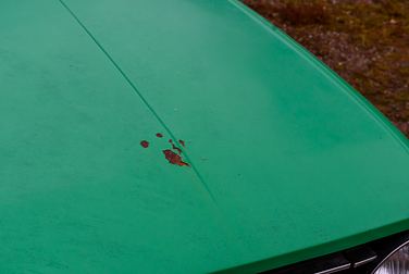 #<Image:0x00007f34ed442bd0>