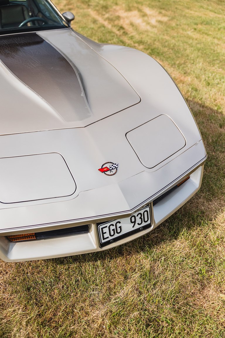 Exterior image of 1982 Chevrolet Corvette Collector Edition
