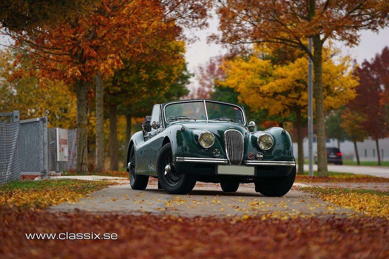 Bild von 1954 Jaguar XK120 (22)