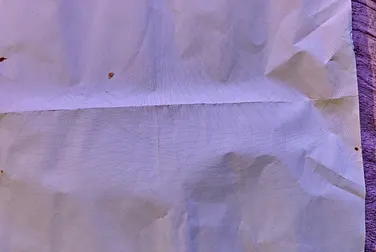 #<Image:0x00007f91f335b420>