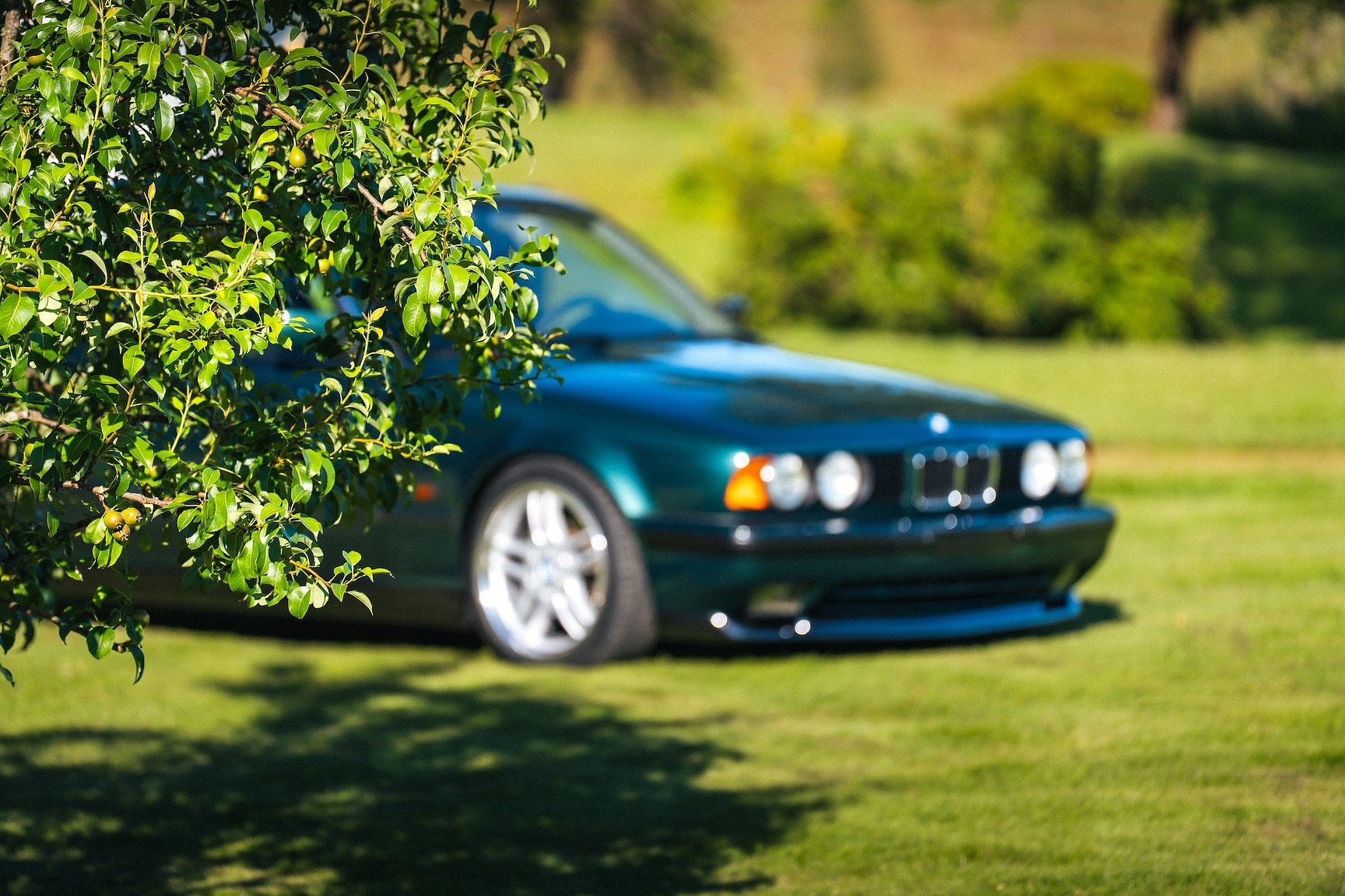 Exterior image of 1993 BMW 525 tds "No Reserve Auction"