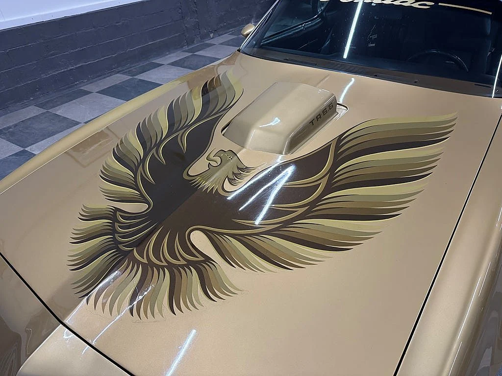 Bild von 1979 Pontiac Firebird (18)