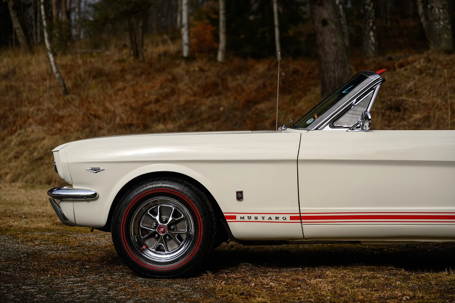Exterior image of 1965 Ford Mustang GT Convertible (69)