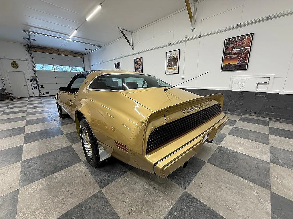 Image of 1979 Pontiac Firebird (12)