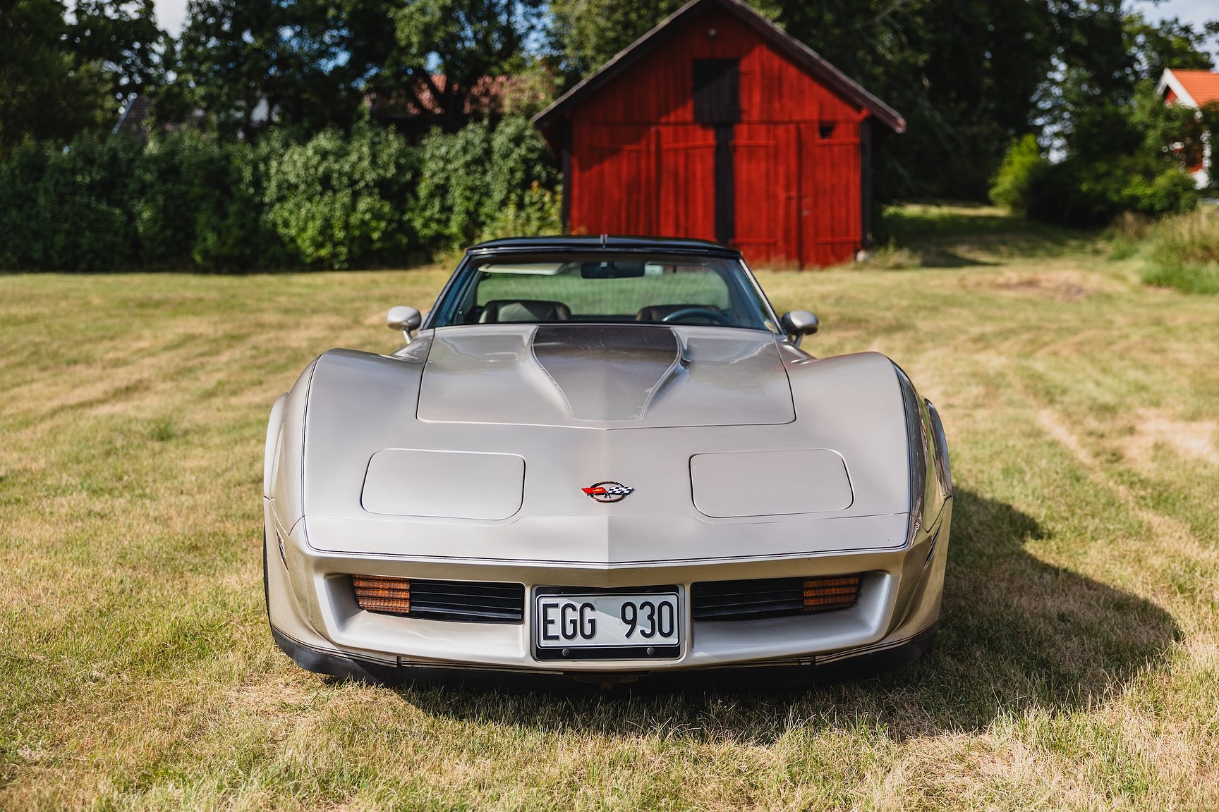 Exterior image of 1982 Chevrolet Corvette Collector Edition