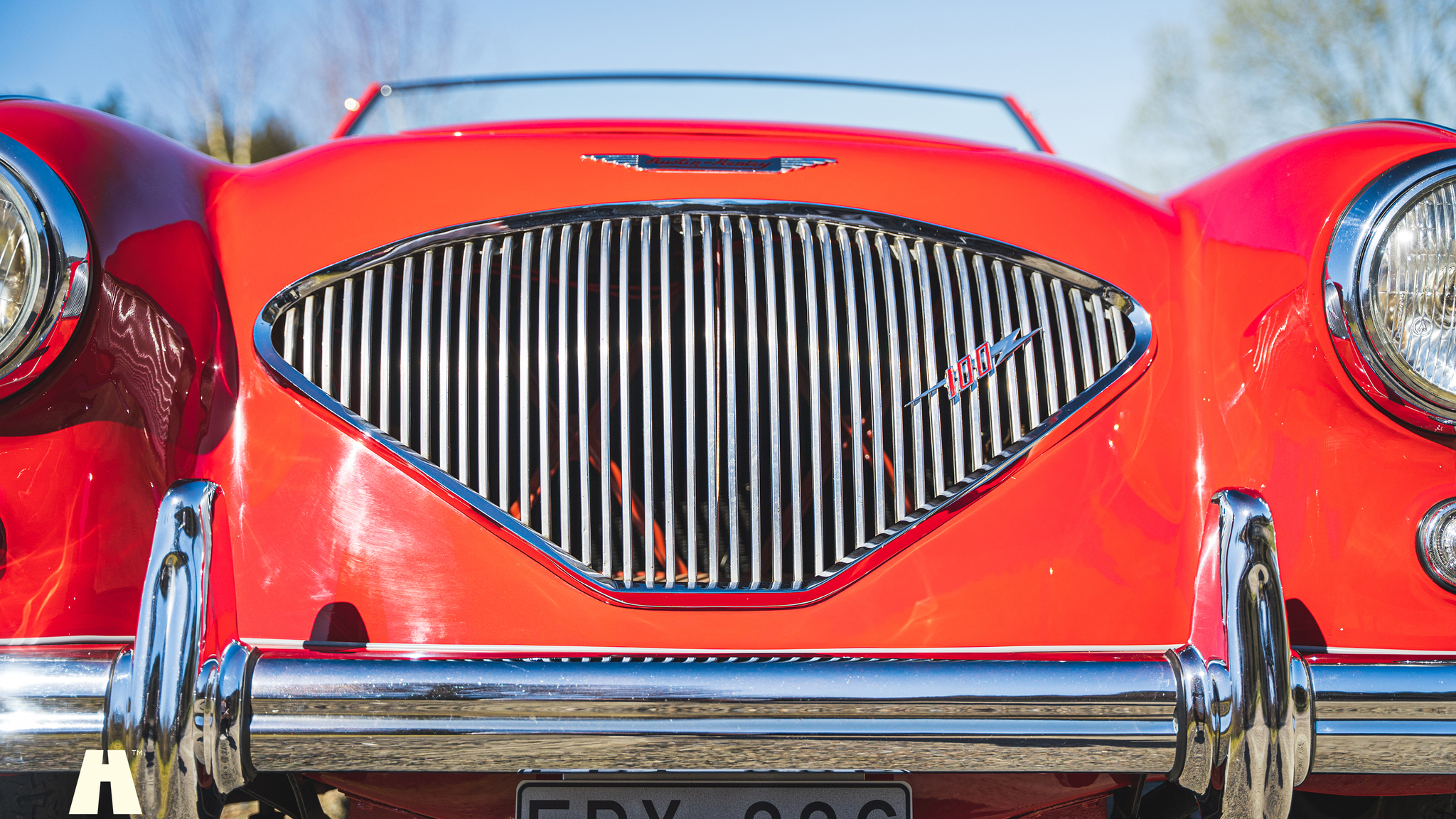 Aussenfoto 1954 Austin Healey 100 BN1 (11)