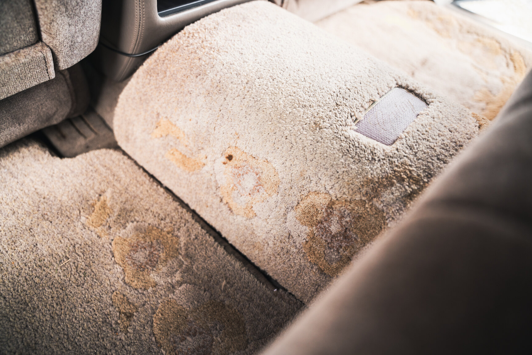 Interior image of 2000 Toyota Century