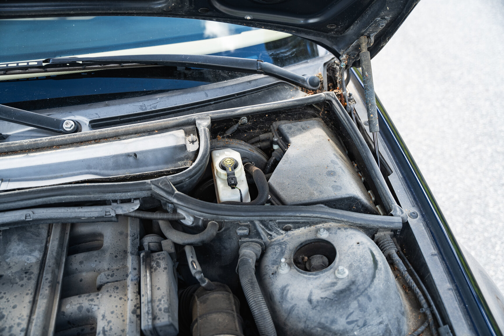 Image of 2003 BMW 320i Touring mechanics