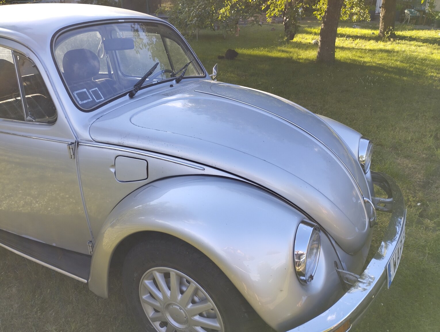 Exteriörbild på 1981 1981 VOLKSWAGEN 