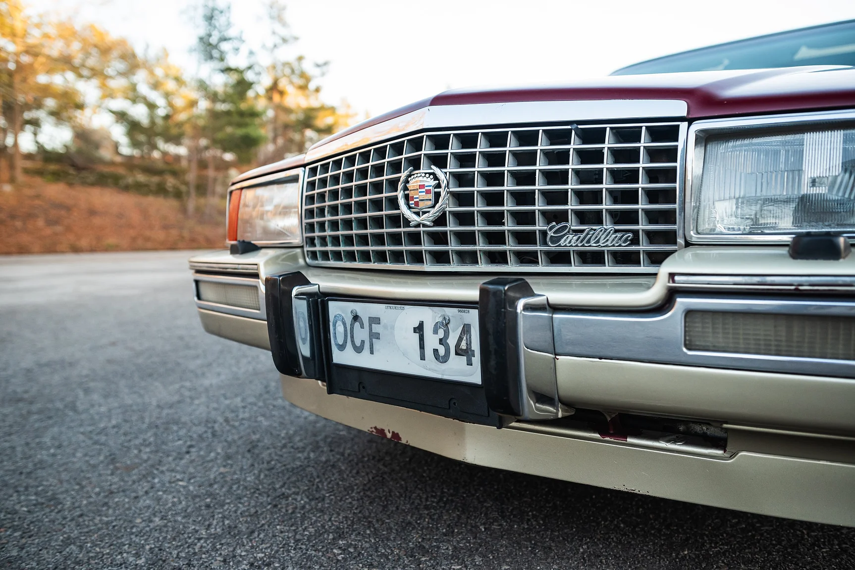 Exterior image of 1989 Cadillac Seville (26)