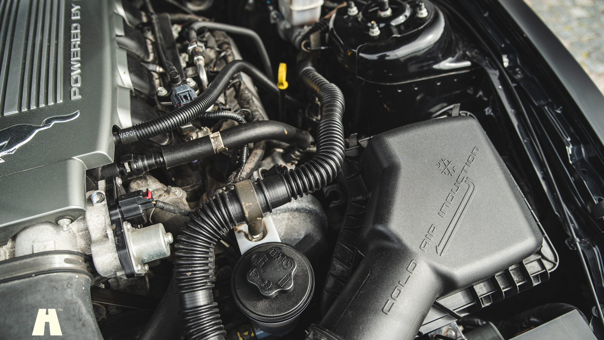 Image of 2010 Ford Mustang GT  mechanics