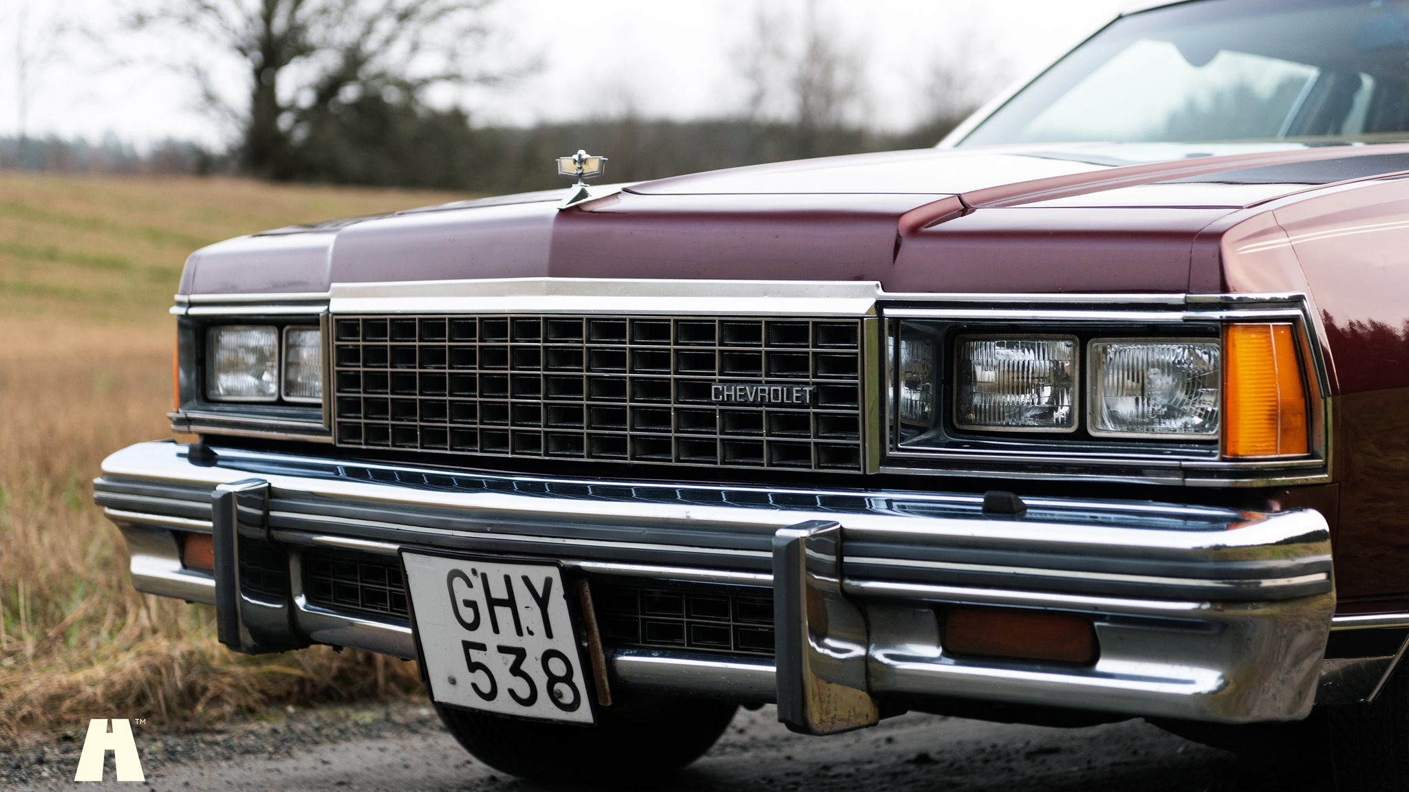 Exterior image of 1977 Chevrolet Caprice Classic