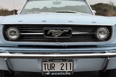 #<Image:0x00007f3a40675c88>