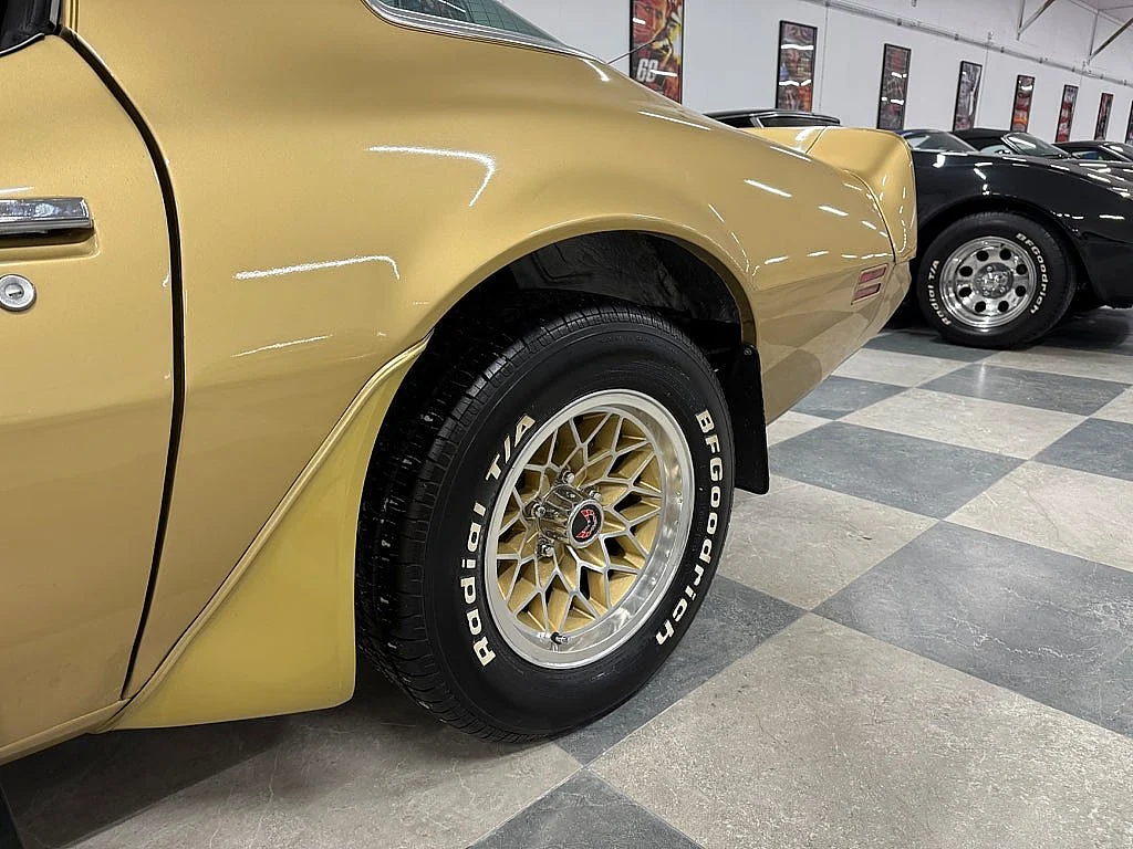 Bild von 1979 Pontiac Firebird (16)