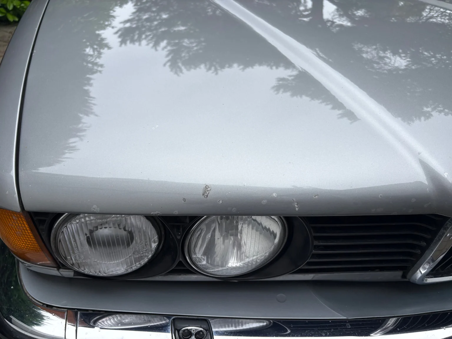 Aussenfoto 1988 BMW 730iA (39)