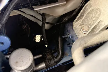 #<Image:0x00007f701ccb8d40>