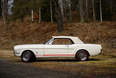 #<Image:0x00007fa277593c08>