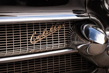 #<Image:0x00007f2ff1e3be08>