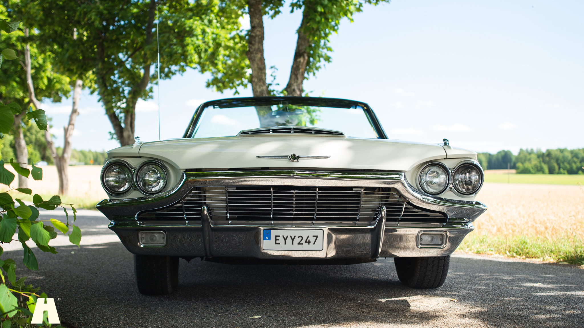 Exterior image of 1965 Ford Thunderbird (9)