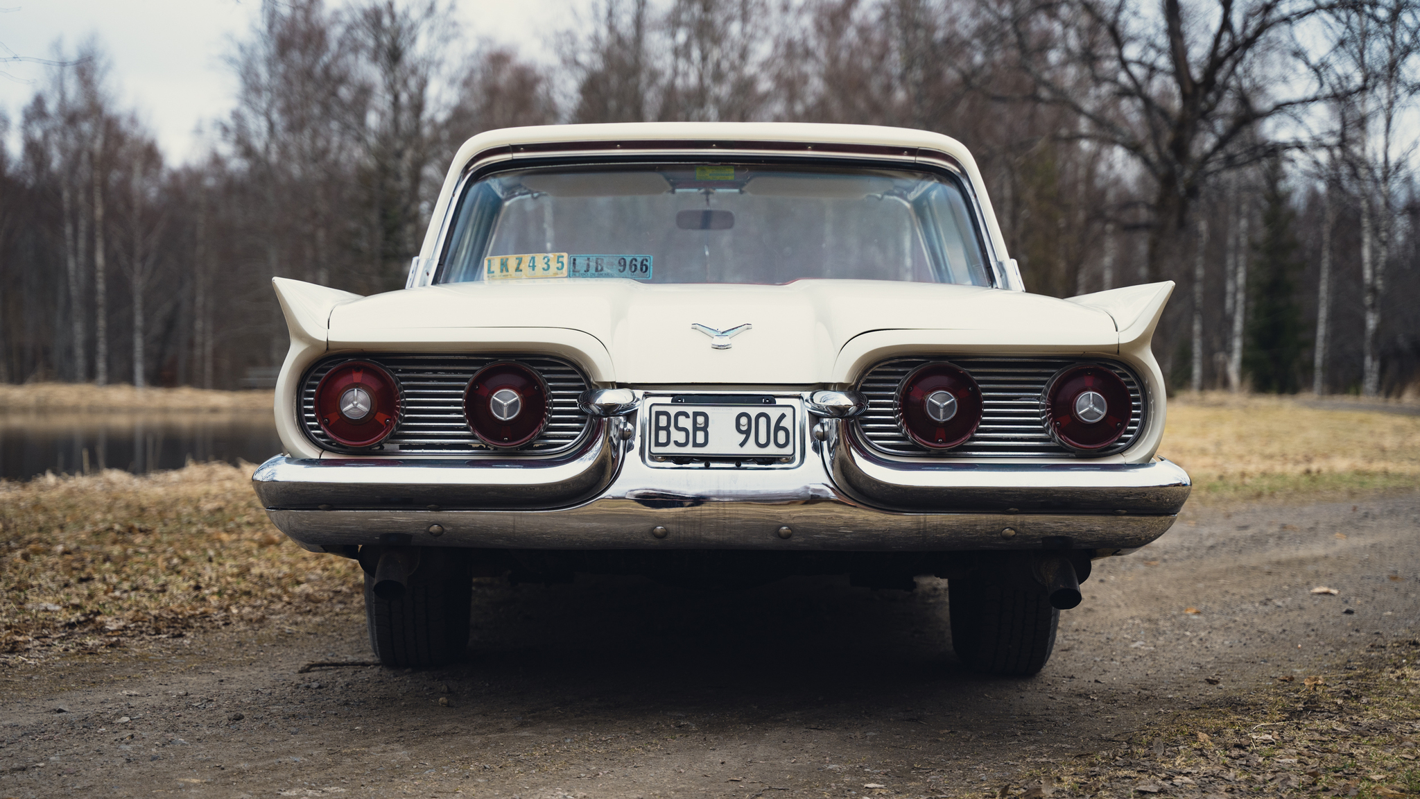 Aussenfoto 1959 Ford Thunderbird hardtop (4)