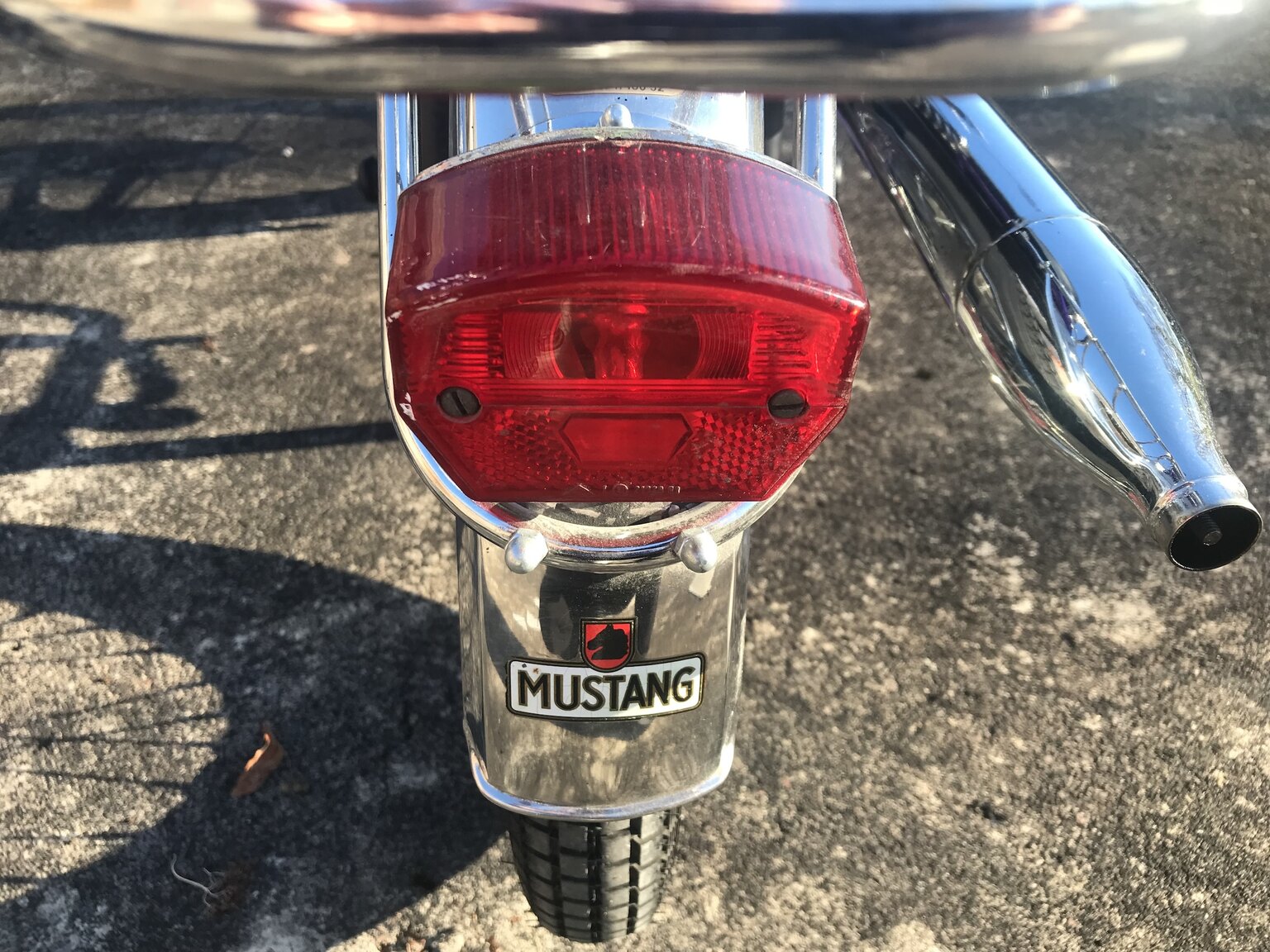 Aussenfoto Mustang Cobra