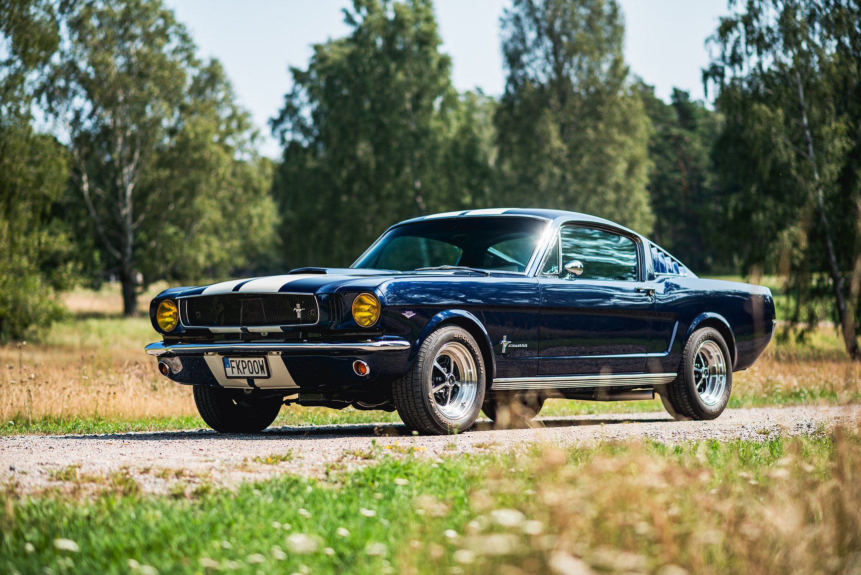 Exterior image of 1965 Ford Mustang Fastback