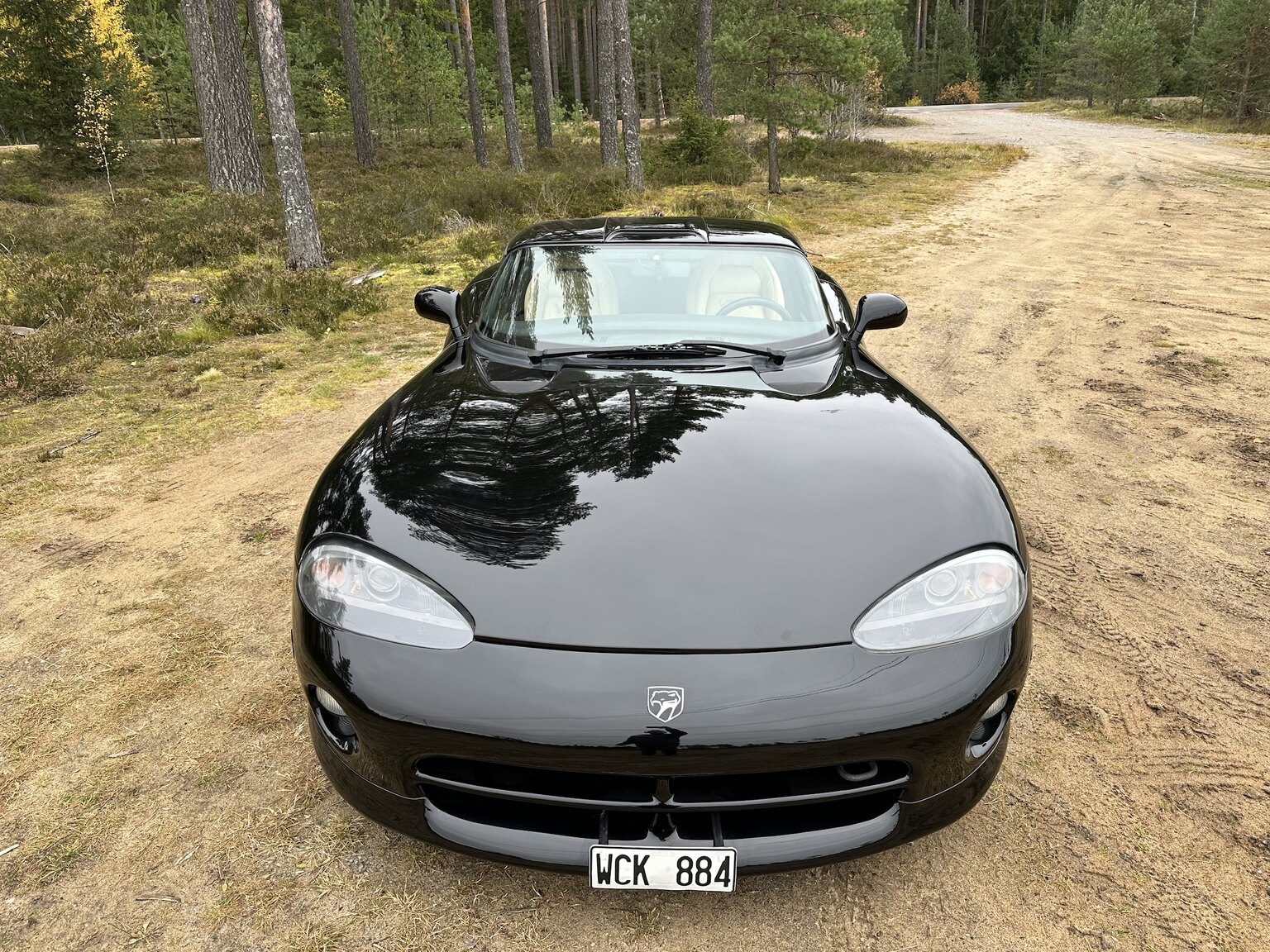 Exteriörbild på 1994 Chrysler Viper RT/10