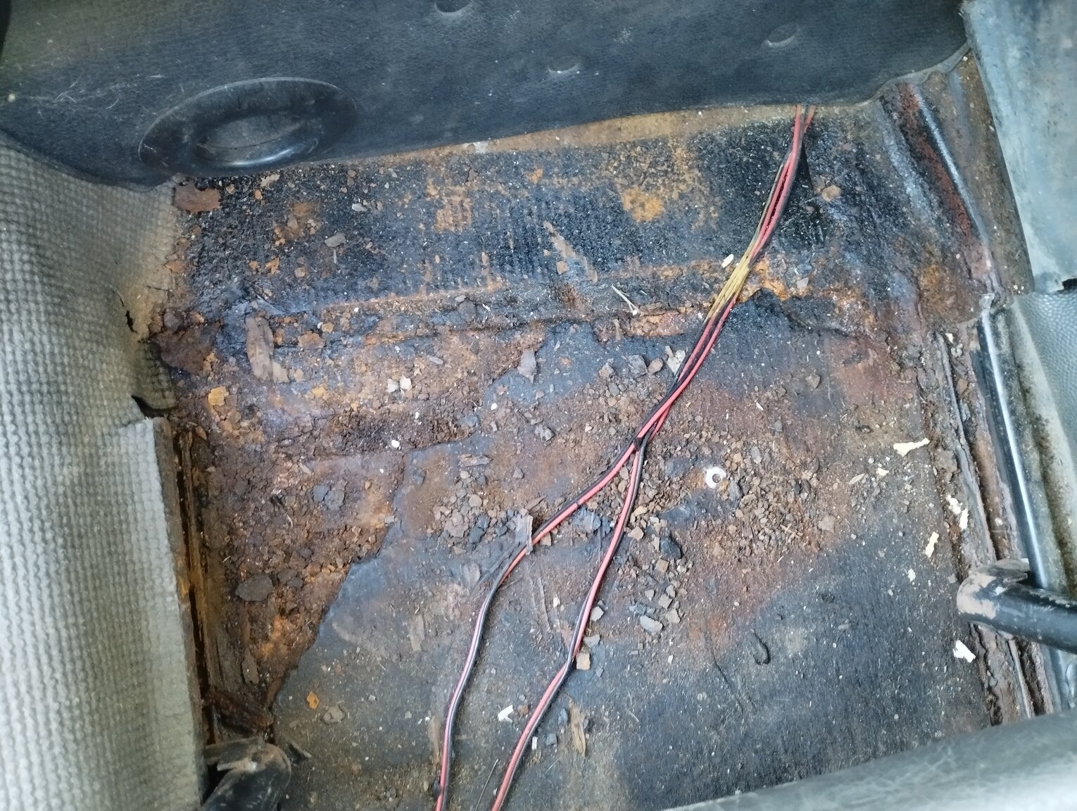 Innenraumfoto von 1981 1981 VOLKSWAGEN 