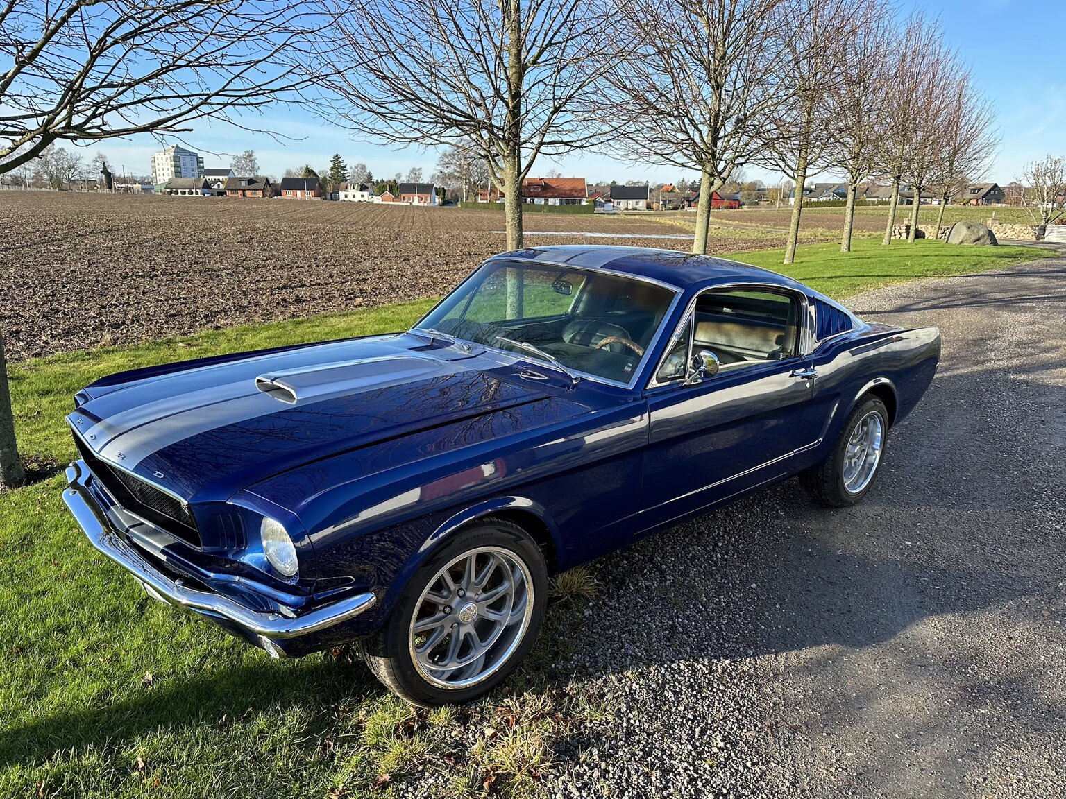 Aussenfoto 1965 Ford Mustang Fastback 351W (66)