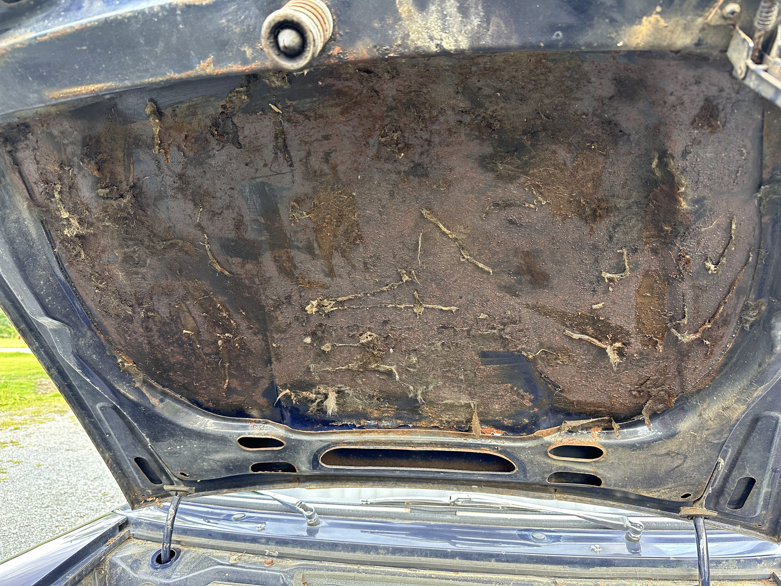 Interiörbild 1968 Wolseley 18/85 1.8 (1)