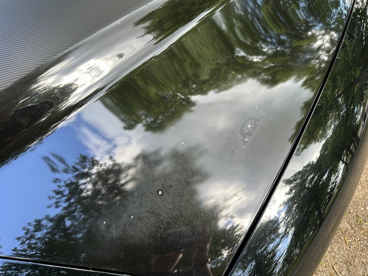 Exteriörbild på 2000 Pontiac TransAm Firebird (20)