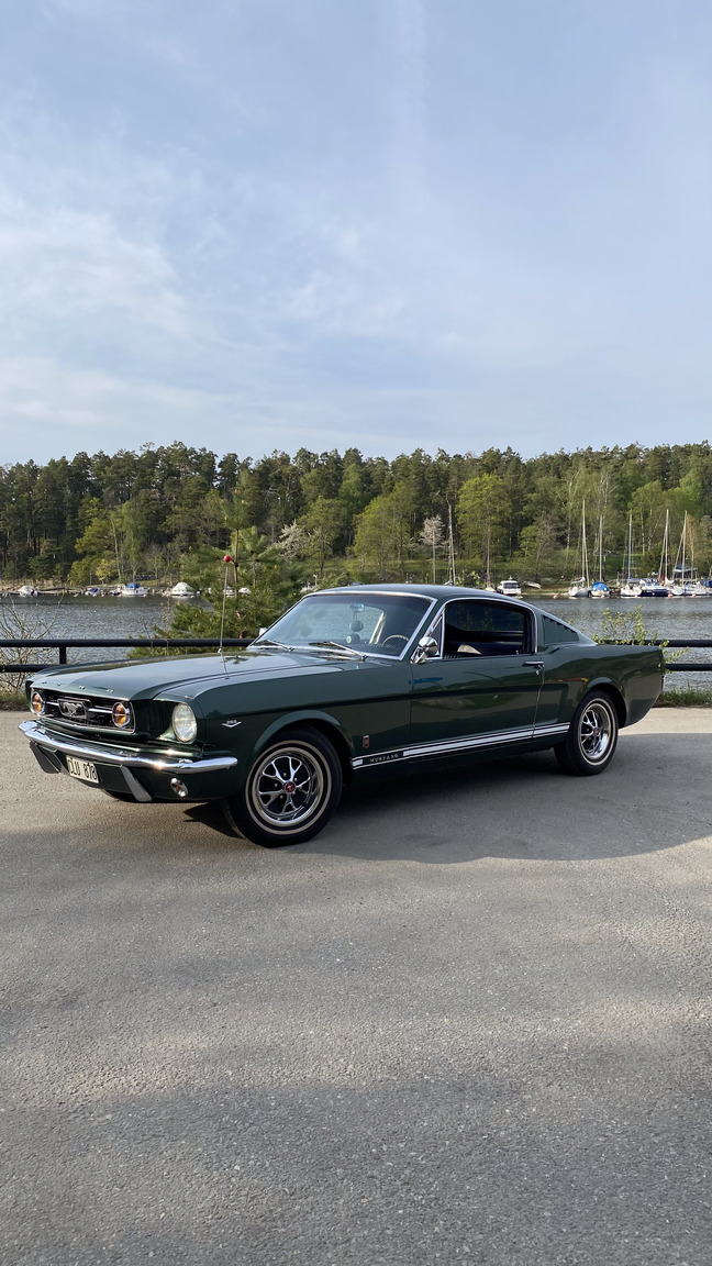 Exterior image of 1966 Ford Mustang Fastback GT-clone (2)