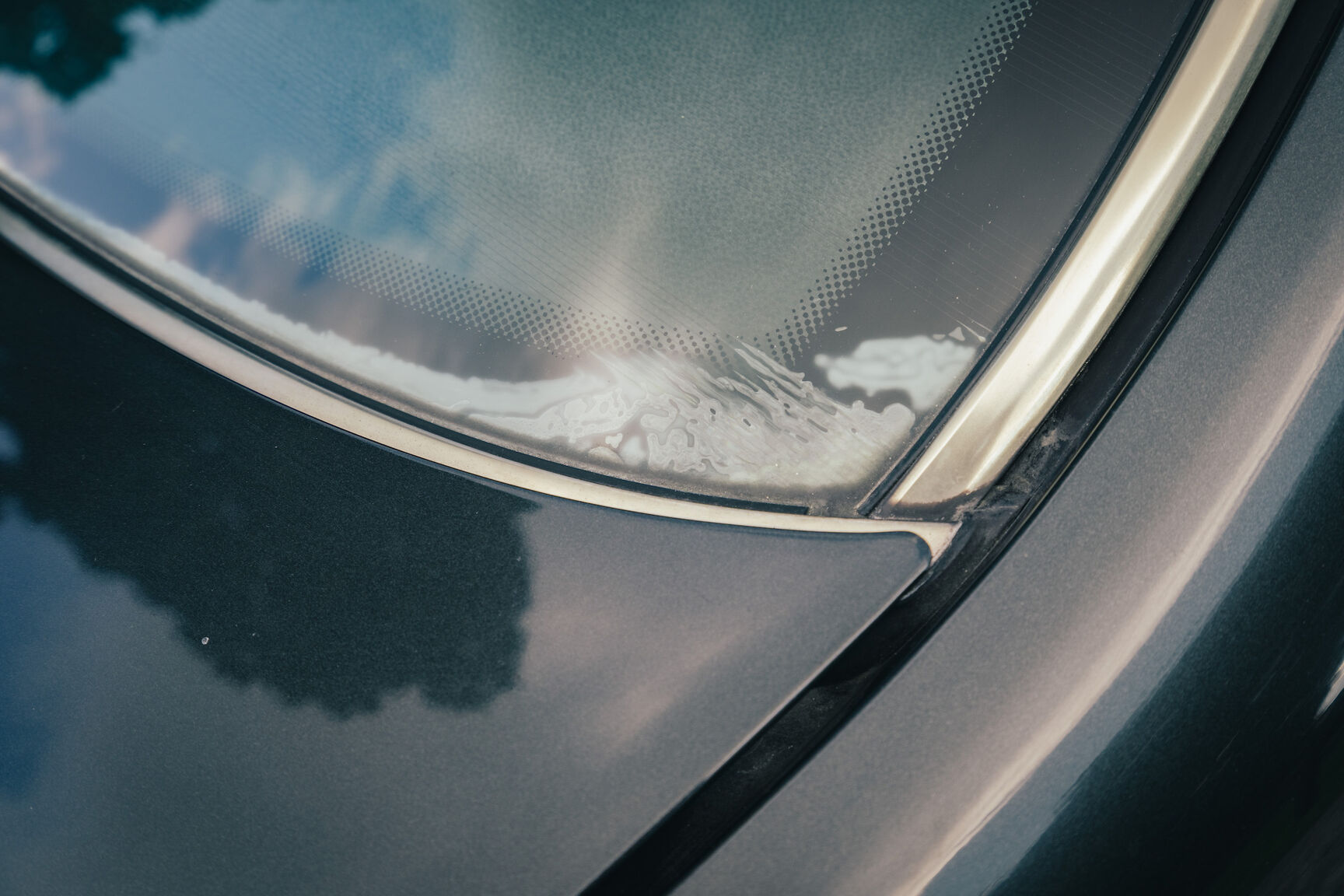 Aussenfoto 1992 Mercedes-Benz 500 SE (45)