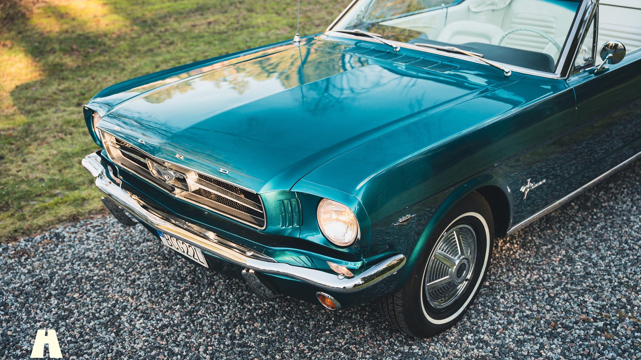 Aussenfoto 1965 Ford Mustang Cabriolet (16)