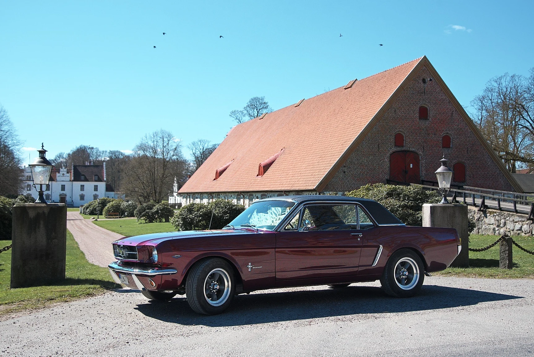 Aussenfoto 1965 Ford Mustang HT 289cui (89)